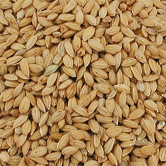 Riz Paddy 18 kg