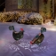 2 lampes en forme de poules