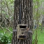 Camra extrieure 3G PIE1023 camo Numaxes