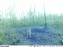 Camra extrieure 3G PIE1023 camo Numaxes