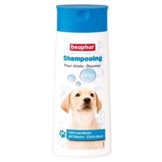 Shampooings Bulles 250ml (chiot)