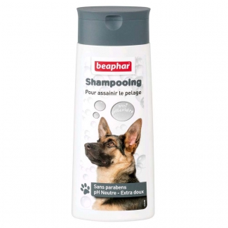 Shampooing antipelliculaire Beaphar