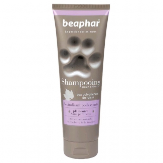 Shampooing premium revitalisant chien poils courts Beaphar