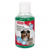 Buccafresh® solution haleine fraiche