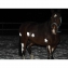 Spray rflchissant Albedo 100 Cheval&animaux