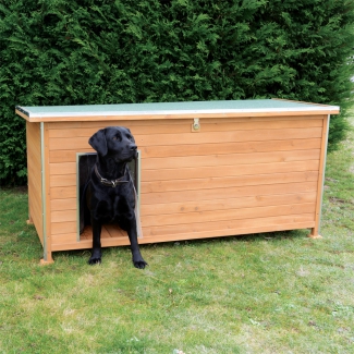 niche renforcée en bois avec chien