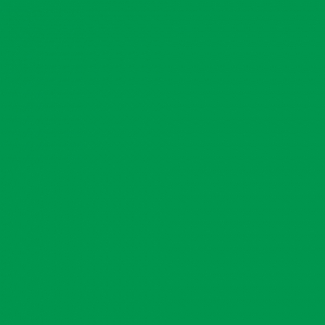 Peinture pour ruche coloris vert