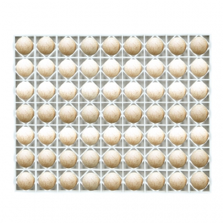 Panier d'incubation pour 63 œuf de canne/dinde TR63