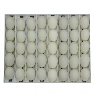 Panier d'incubation pour 40 oeufs d'oie TR40