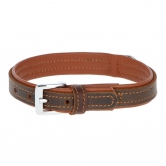 Collier chien cuir premium
