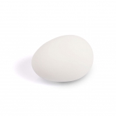 Lot de 2 oeufs factices