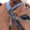 Bridon premium noir poney