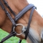Bridon premium noir poney