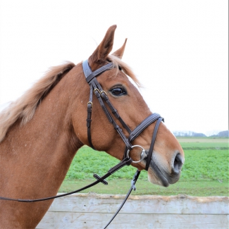 Bridon premium noir poney