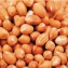   Cacahutes dcortiques 12kg