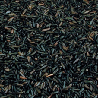 Graines de Niger 17.5kg
