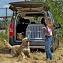 DIBARO Biseaux longs chien M/L