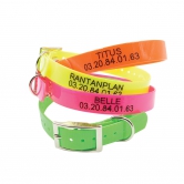 Collier fluo BioThane Biogold grav taille standard