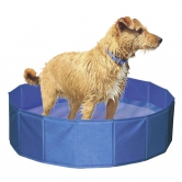 Piscine pour chien