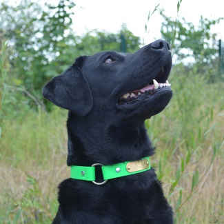 Collier biot. beta vert anneau T4 + plaque