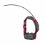 Collier de suivi et dressage TT15F