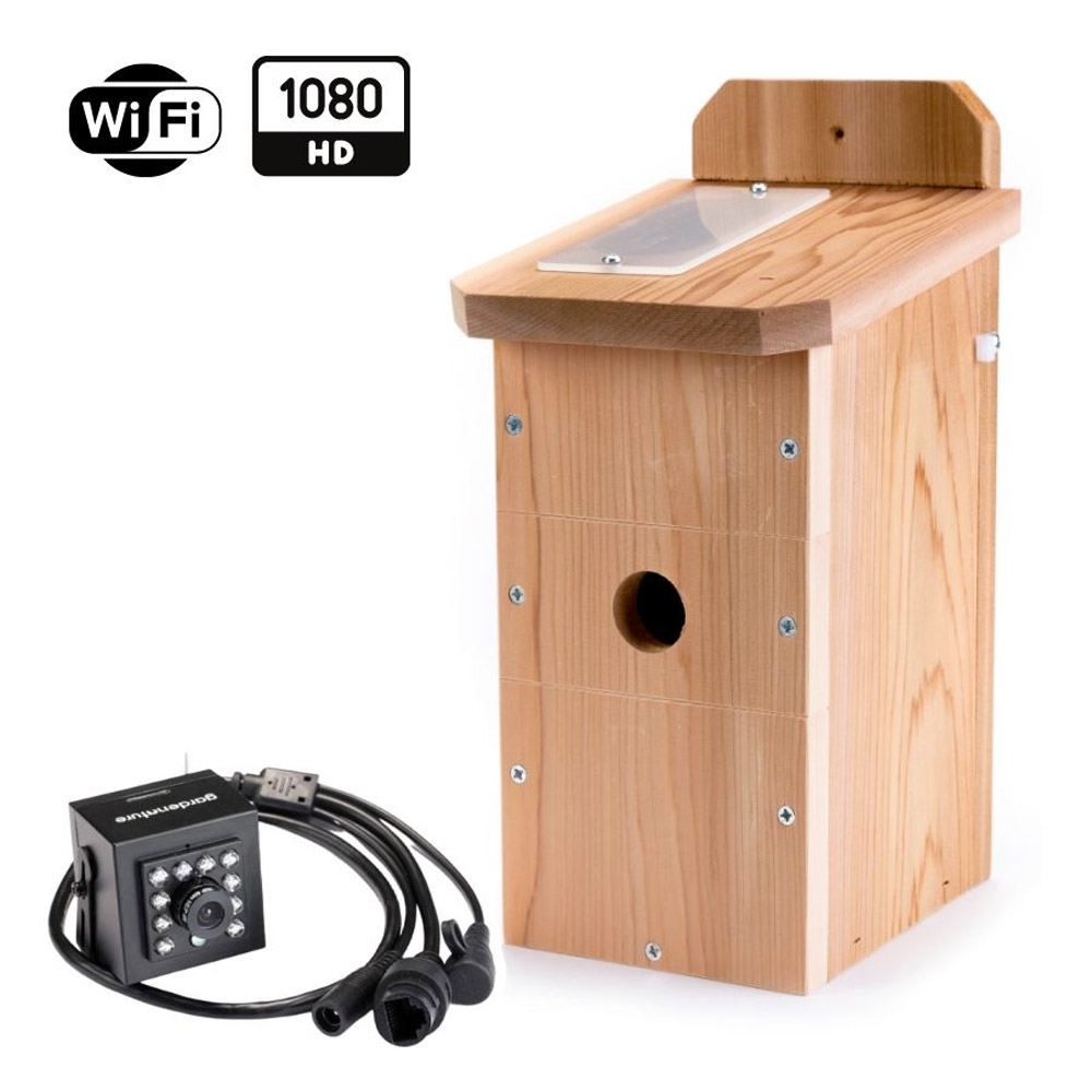 Kit complet Nichoir oiseaux avec caméra Wifi