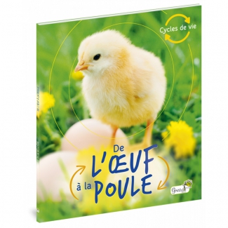 De l oeuf  la poule