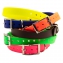 Colliers BIOT BETA petit chien - VERT