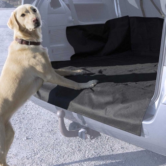 Protection coffre chien