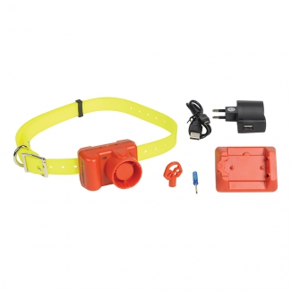 Collier bipeur de dressage orange