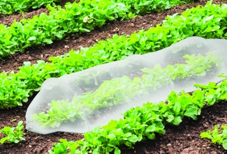 Tunnel de croissance 3m